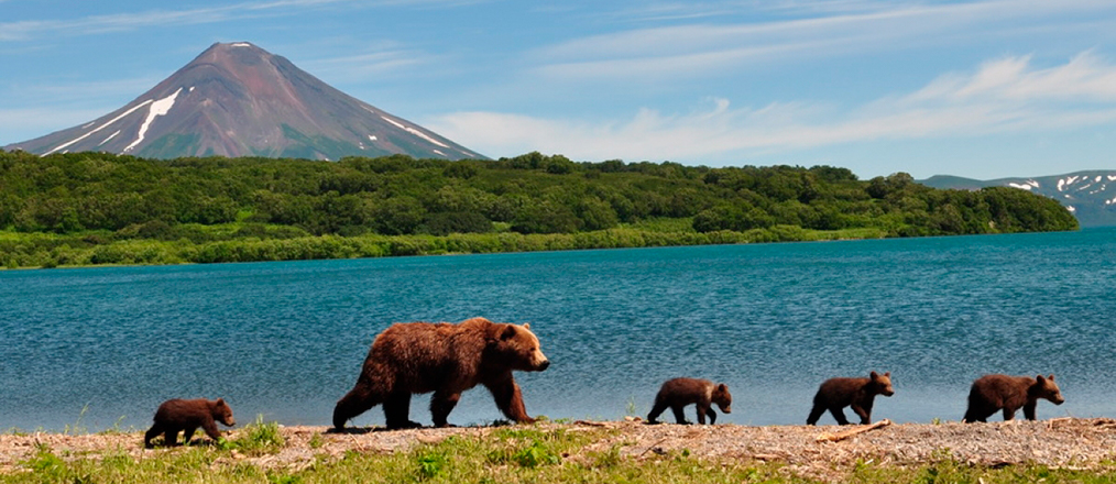 russia-kamchatka-05.jpg