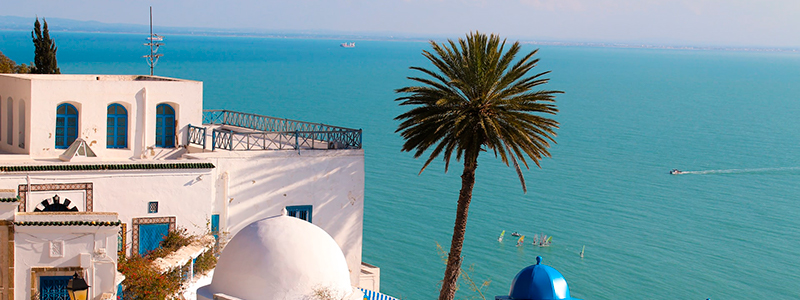 vacation_34_tunis.jpg